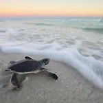 Turtley Beach Getaway